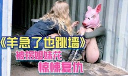 羊急了也跳墙在线观看,一场惊心动魄的冒险之旅